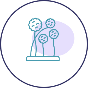 Micotoxinas y Mold