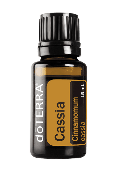 Cassia- Canela