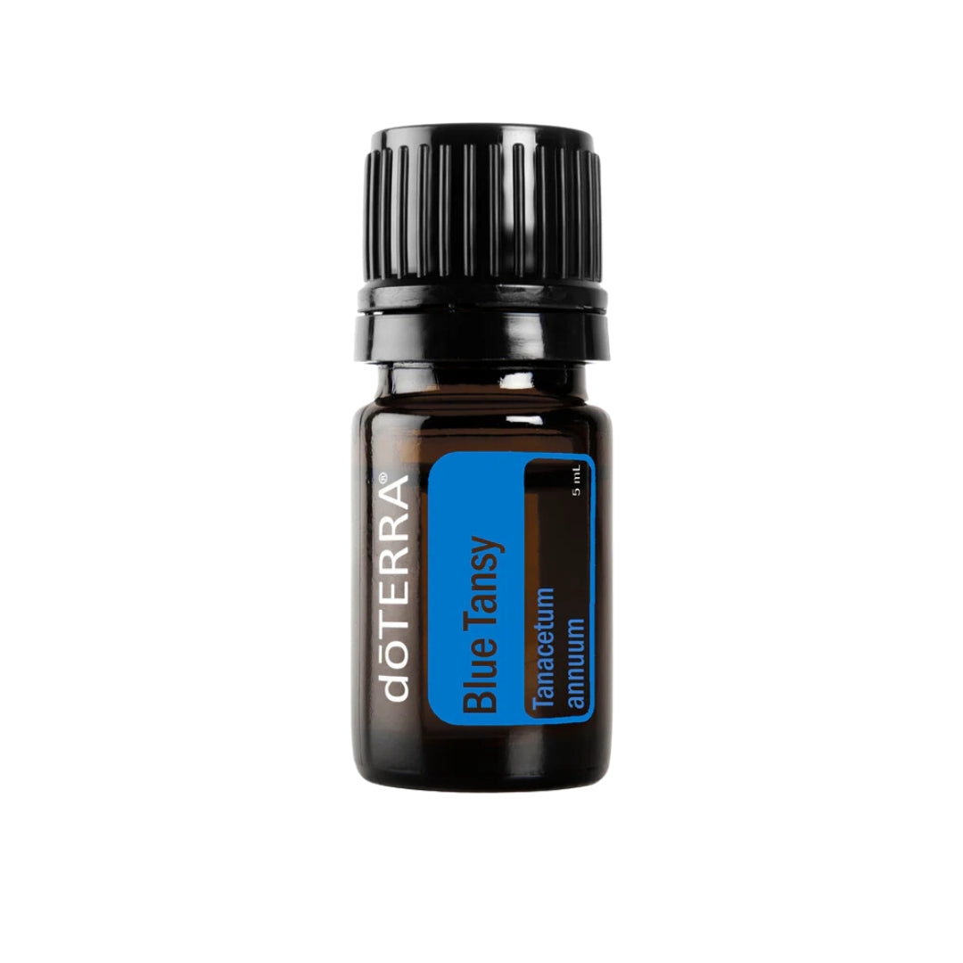 Blue Tansy Oil - Tanaceto