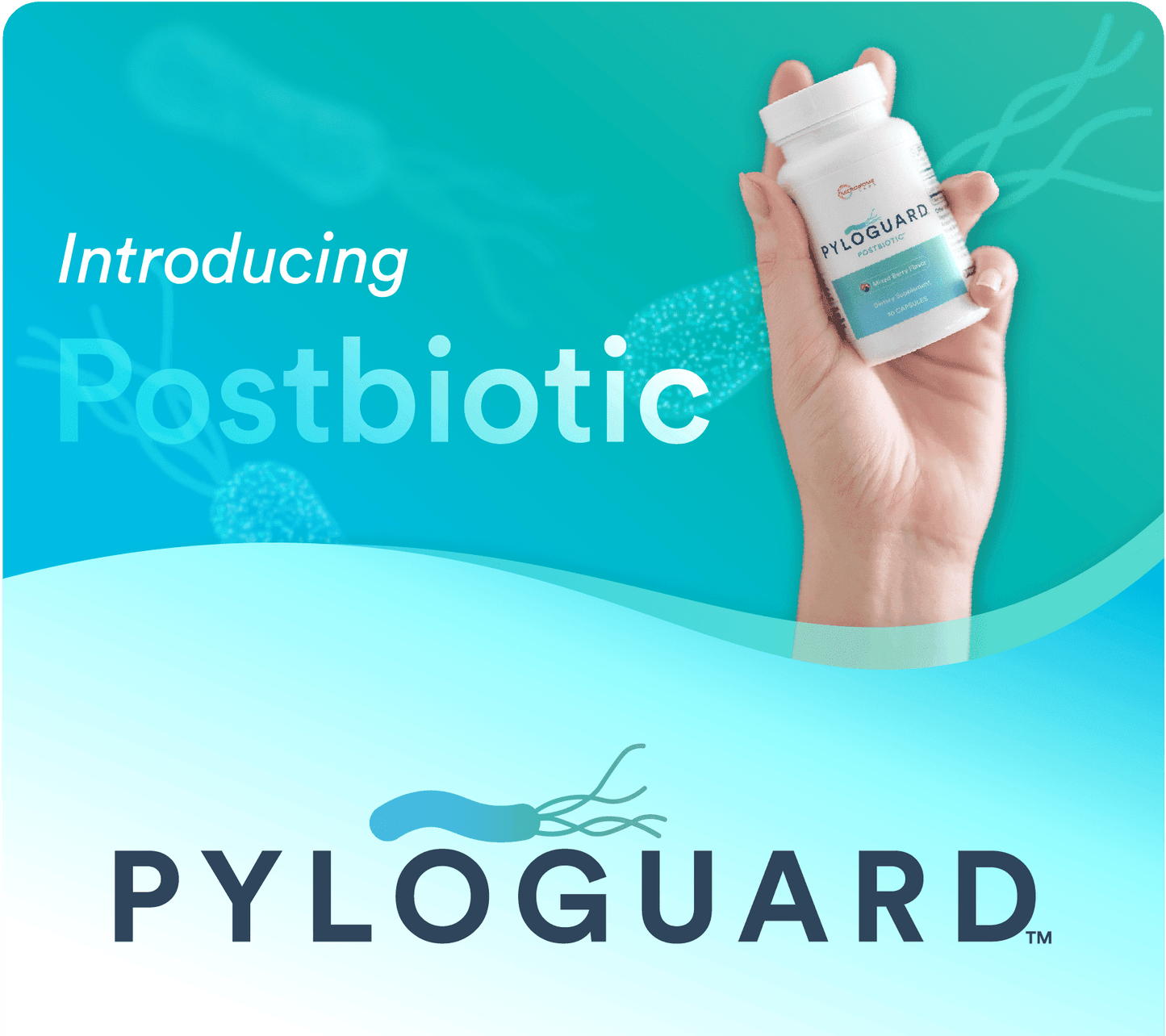 PyloGuard