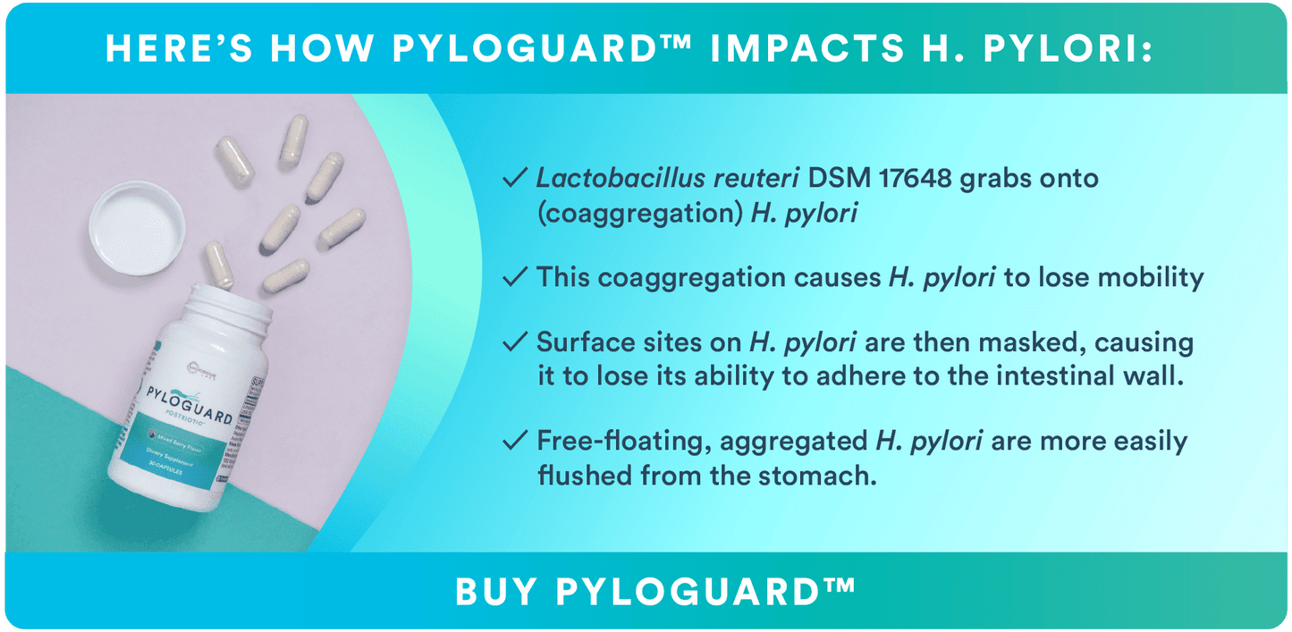 PyloGuard